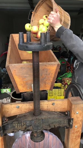 Homemade Fresh Organic Apple Juice | DIY Harvest Season Cider Press