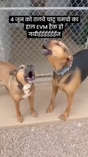 Malkit Singh on Reels