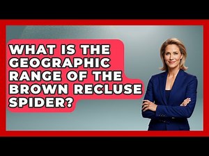 What Is The Geographic Range Of The Brown Recluse Spider? - Insects and Invaders