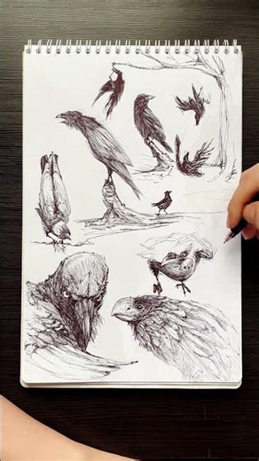 Crow Study | Pen Drawing #artshorts #animaldrawing