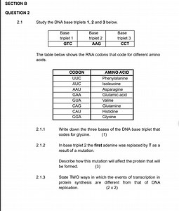 2.1 Study the DNA base triplets 1, 2 and 3 below.| Base tripl... | Filo