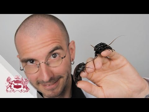 Forensic Entomology: Insect Deputies can Solve Crimes | Mark Benecke