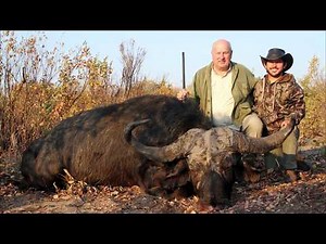 Monster Cape Buffalo Hunt in Namibia