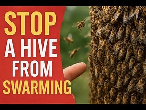 Stopping a hive from swarming/Swarm control
