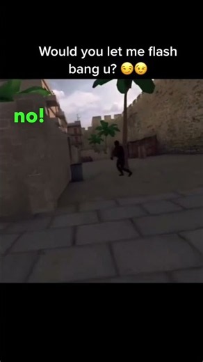 "Accidentally" flash banging my team