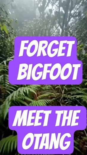 Otang #unexplained #cryptid #history #unknownreality #shortsvideo #bigfoot #cryptids
