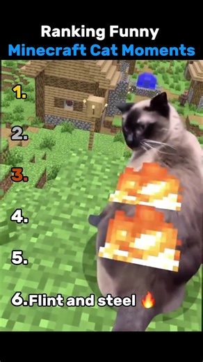 Top Funny Minecraft Cat Moments You Can't Miss