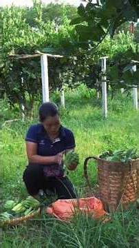 farming girl life mini vlog #agriculture #farmer #farming #food #vegetables