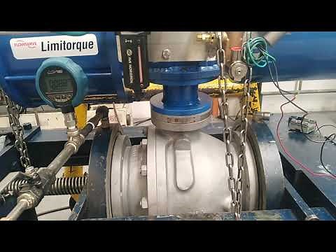 Prueba de hermesidad de sellos norma API 598 O 6D VÁLVULAS DE CORTE TIPO EFERA.