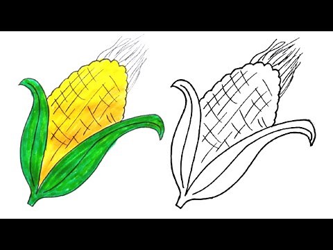 COMO DESENHAR ESPIGA DE MILHO [DESENHAR MILHO FÁCIL]