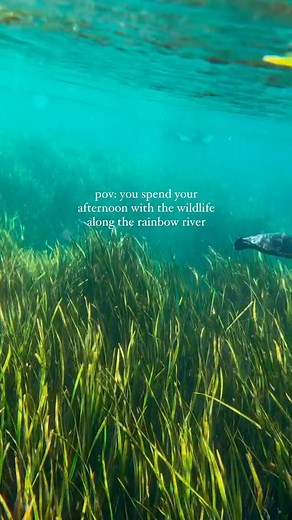 Our kind of Monday afternoon 🐢📍Rainbow Springs | Get Up And Go Kayaking