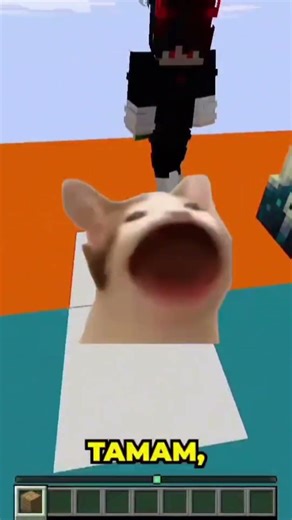 Minecraft "Aklımı Oku" Oynuyoruz w/‪@BerkAlpYT‬ #minecraft #shorts #funny #yusufte