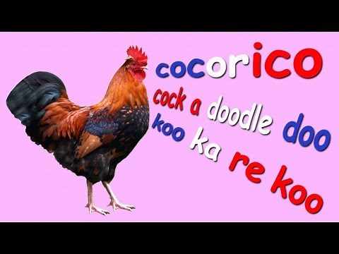 Anny Versini, Jean-Marc Versini - Cocorico (Clip officiel)