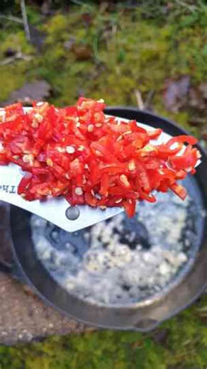 Salmon fillet wrapped like a mummy ASMR Camp Fire Cooking