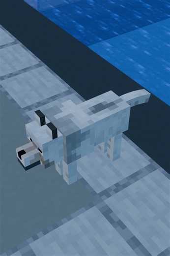 Wolf stand up small circle tail wag - Random MC Animation - Minecraft Animation