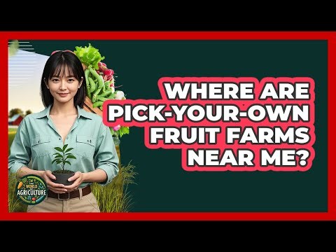 Where Are Pick-Your-Own Fruit Farms Near Me?