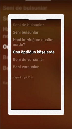 Vursunlar l Şarkı Sözleri l Lyrics