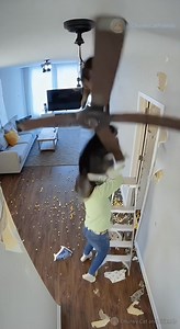 1.4M views · 682 reactions | Mom Gets a Ladder to Catch the Pets on the Ceiling Fan…#funnyshorts #cat #dog #AI | Chunky Cat and Friends | Facebook