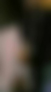 HEAVY RELEASES Happy 27 anniversary..🎙️ DEATH - The Sound Of Perseverance / August 31, 1998..💯🤘 #death #thesoundofperseverance #chuckschuldiner #MetalHeads | Metal,Hard Rock Maniacs