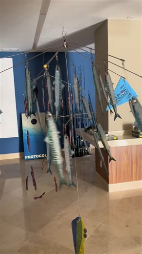It’s Stripe Marlin season! 10 20 30 40 releases a day! #marlin #ca | Protocol Sport Fishing