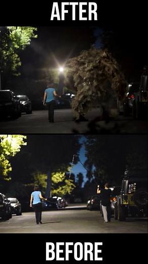 5.8K views · 48 reactions | Before / After Monster | Phil.Flock | Facebook