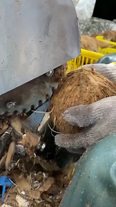 How to Remove Coconut Shell | The squad outdoors