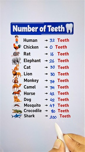 No. of Teeth in Animals 🔥 #basicknowledge #education #facts
