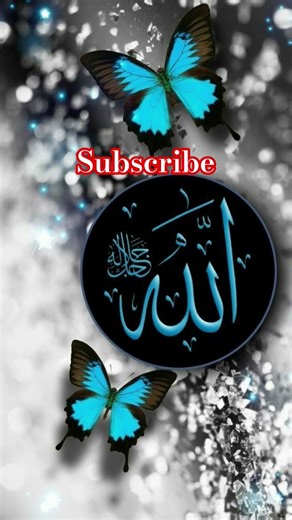 Allah Hu Akbar #hijab #love #live #allahhuakbar #answer #4line #islamicphrase #beautiful #funny