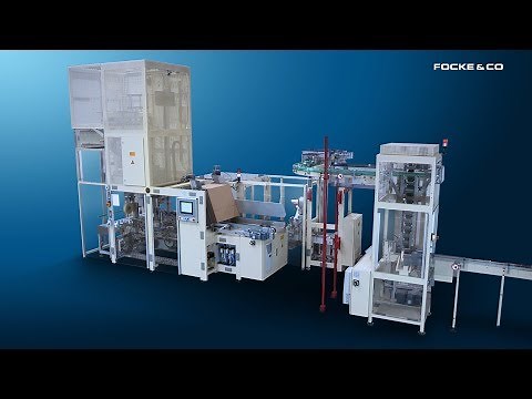 FOCKE Vertical Case Packer 460 (Cigarette & OTP)