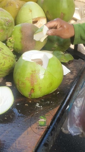 I Tested The World's Best Coconut Cutter