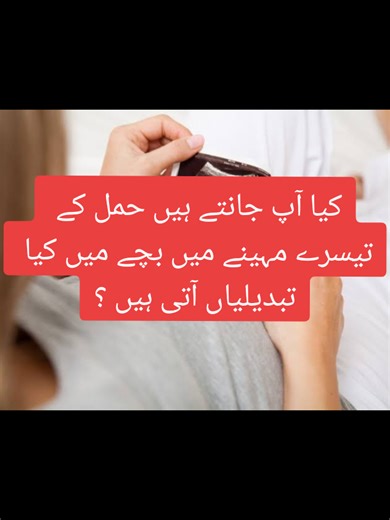 Fetal Development Changes in 3rd Month of Pregnancy