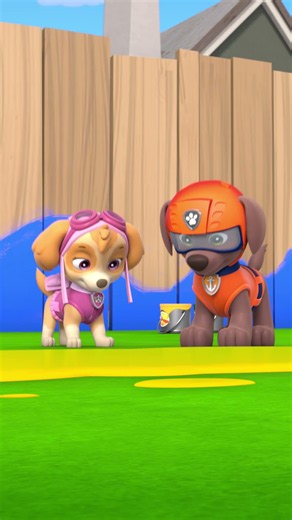 Os Cãezinhos Fazem uma Paródia com Tinta #short