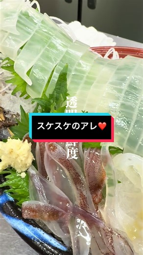 活ヤリイカの鮮度と美味しさを体感