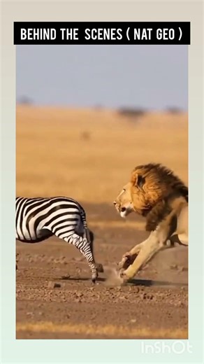 raw footage pf Nat geo channel 😱😱