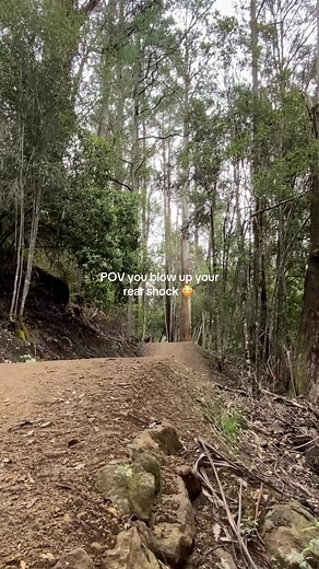 we assume this was how it happened