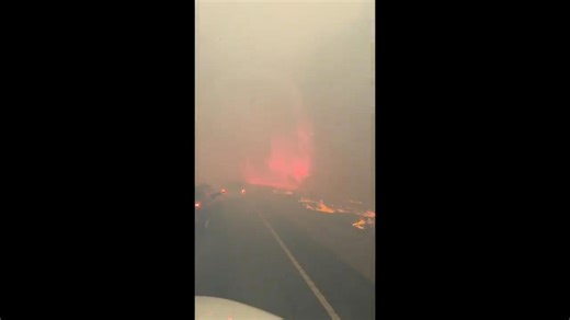 Video of a wildfire north of New Orleans shows thick smoke and trees catching fire