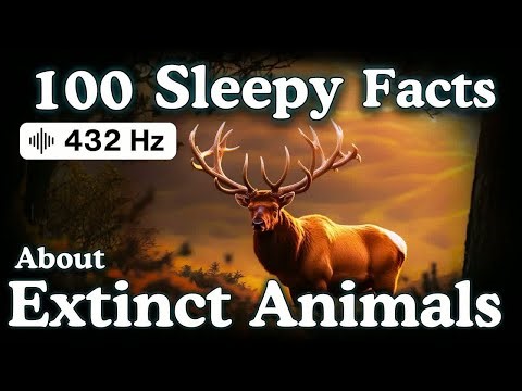 The Most Relaxing Facts About Extinct Animals to Fall Asleep To — No Adverts