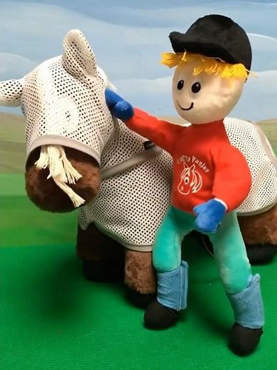 Crafty Ponies Fly sheet