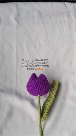 ya que no puedes comprar amor, compra algo hecho a mano, que es prácticamente lo mismo💕🌸⚘️💕. . . . . . . . . . #bucaramanga #crochetersoftiktok #amor #amistad #novios #amigos #uis #emprende #2025 #flores #rosaseternas #tulipanes🌷 #tulipaneseternos #rosaseternas🌹