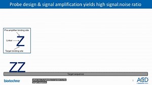RNAscope in situ hybrdization
