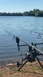 How to build the perfect carp rig montage