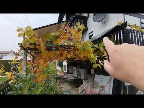 Why do I have to install an optimizer on my solar panels?