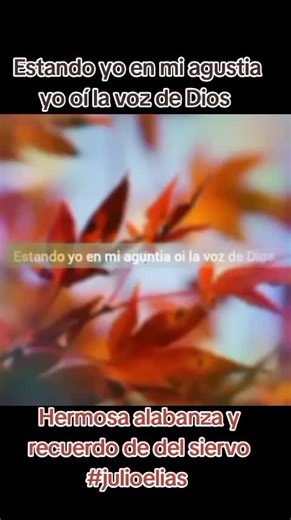 Alabanza Cristiana: La Voz de Dios en Cada Nota