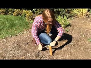 Worm Grunting