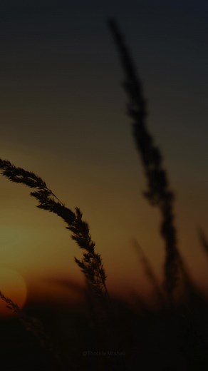 Sjava Ugogo Song Lyrics