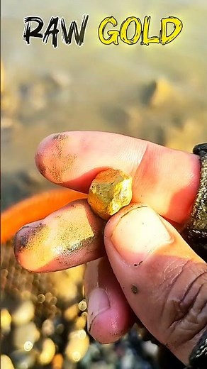 Raw Gold Found in River — Nature’s Hidden Treasure!