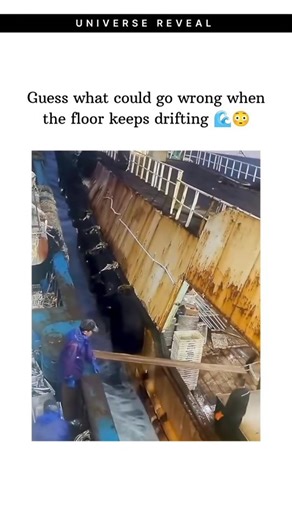 Reveal Universe | At sea, many fishing fleets use transshipment to stay operational without returning to shore. Larger carrier or collector vessels move... | Instagram