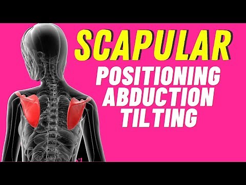 Scapula Positioning | Scapular Abduction and Tilting | Hand Therapy Secrets