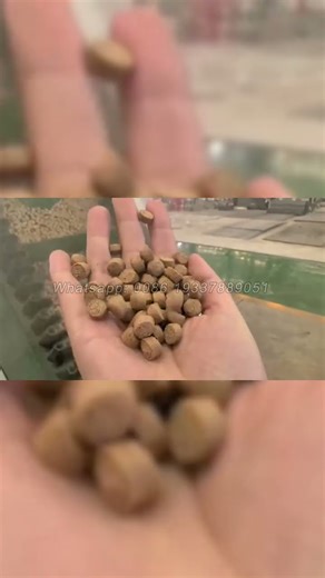 High capacity floating fish feed pellet making machine #fishfeedmachine #fishfarming