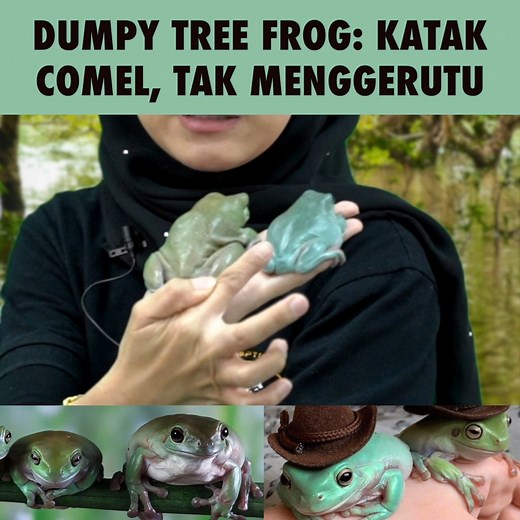 Yang ni nampak tak geli sangat. | ML Studios